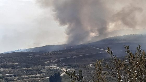 مستوطنون يحرقون 7 دونمات مزروعة بالزيتون واللوزيات غرب بيت لحم