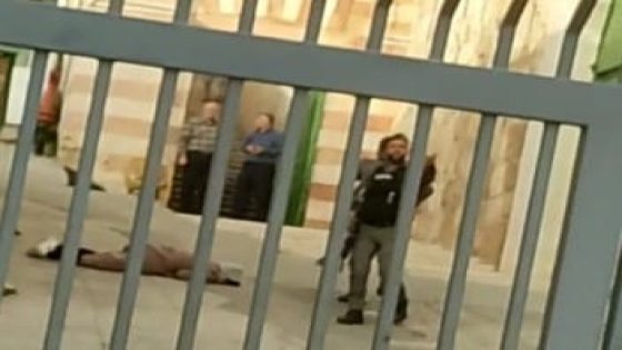 الاحتلال يعتقل فتى في الخليل بحجة حيازته سكين