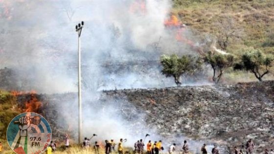 مستوطنون يضرمون النار في أراضي قصرة جنوب نابلس