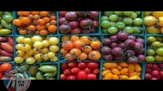 مصادر ألوان الطماطم وخصائصها الغذائية