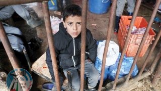 اليونسيف: 9 من بين 10 أطفال في غزة يفتقرون للغذاء اللازم للنمو السليم
