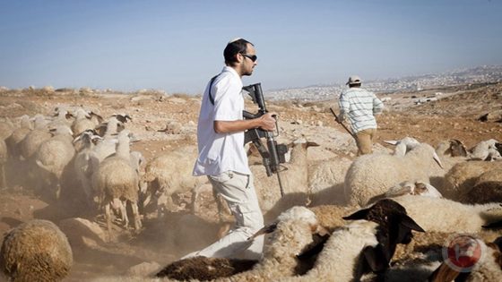 تقرير: سموتريتش يستغل الحرب ويفرض أجندته الاستيطانية على حكومة الاحتلال
