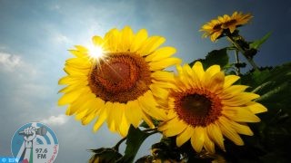 حالة الطقس: استمرار الأجواء الحارة