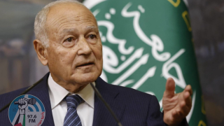أبو الغيط يدعو اليابان للإعتراف بدولة فلسطين
