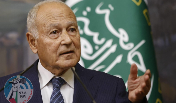أبو الغيط يدعو اليابان للإعتراف بدولة فلسطين