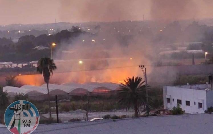 الاحتلال يتسبب بإحراق بيوت بلاستيكية ومزروعات جنوب طولكرم