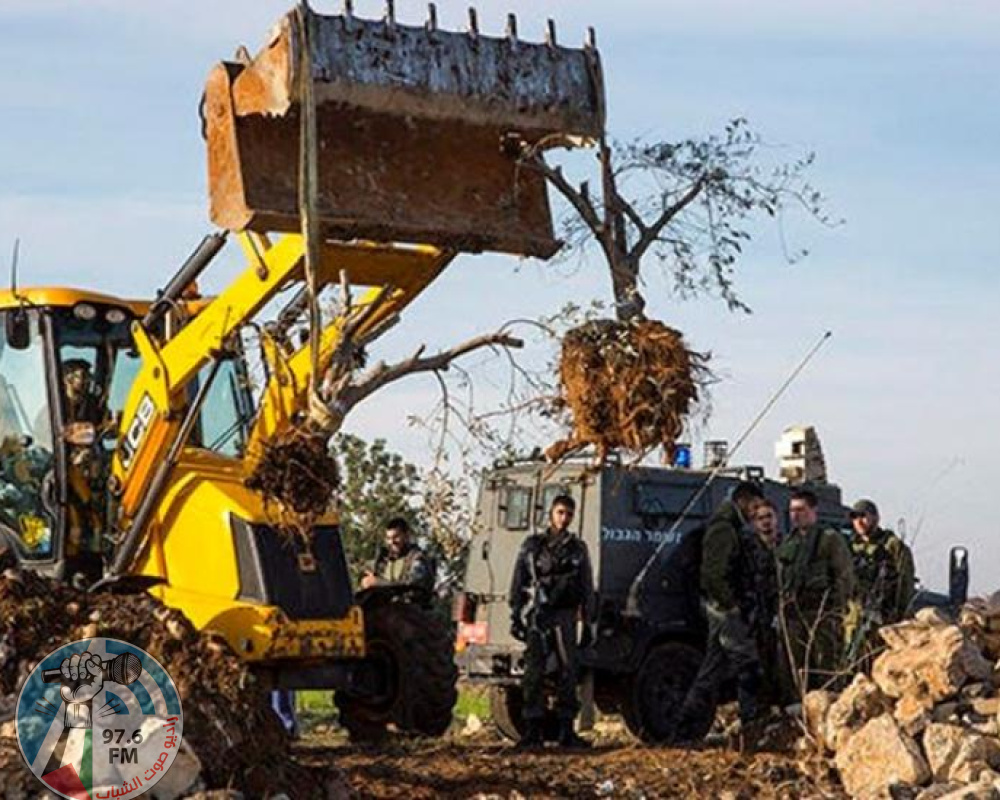 الاحتلال يجرف عشرات الدونمات المزروعة بالزيتون والعنب في أم صفا