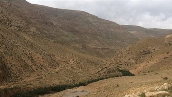 مستوطنون ينكلون بشاب ويحطمون مركبته في نبع العوجا