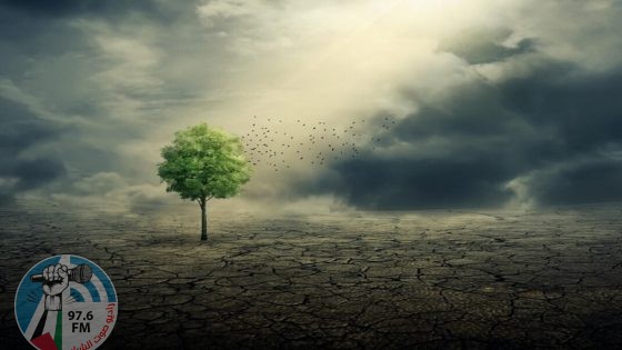 علماء: نشاط الإنسان تسبب في تغير هطول الأمطار على الأرض