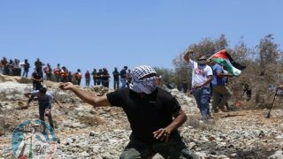 مستوطنون يهاجمون منزلا في بيتا جنوب نابلس