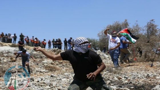 مستوطنون يهاجمون منزلا في بيتا جنوب نابلس