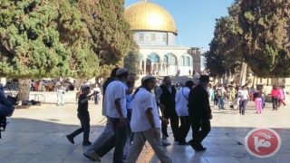 156 مستوطنا يقتحمون المسجد الأقصى