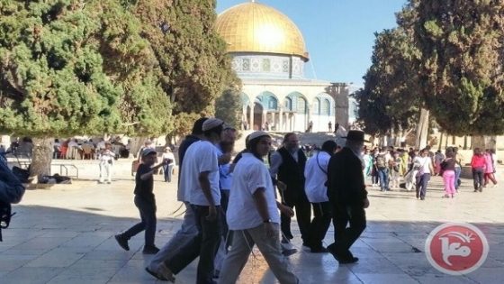 156 مستوطنا يقتحمون المسجد الأقصى
