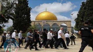 عشرات المستعمرين يقتحمون المسجد الأقصى