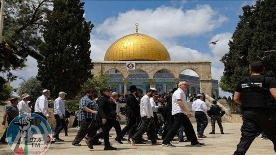 عشرات المستعمرين يقتحمون المسجد الأقصى