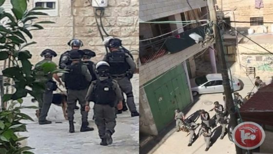 جرافات الاحتلال تهدم منشآت في الطور
