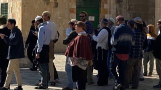411 مستوطنا يقتحمون الأقصى وإبعادات مستمرة للفلسطينيين