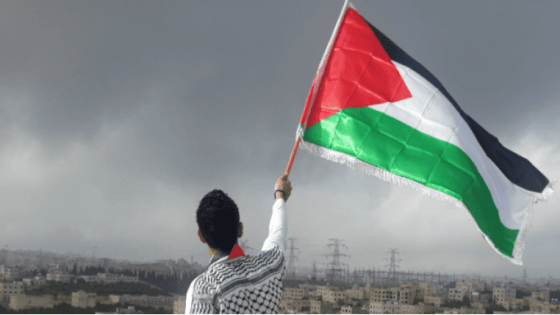 آكشن إيد: الشباب الفلسطيني يقود الإستجابة الإنسانية ويعزز الصمود رغم ظروف الحرب