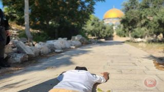 صور- صلوات علنية وجماعية للمستوطنين في الأقصى