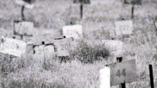 سلطات الاحتلال تحتجز 552 جثمانا لشهداء بمقابر وثلاجات