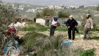 الاحتلال يعتقل مواطنا بعد اعتداء المستوطنين عليه في مسافر يطا جنوب الخليل