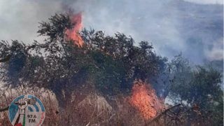 مستوطنون يحرقون بيتا زراعيا وبركسا في الزاوية غرب سلفيت