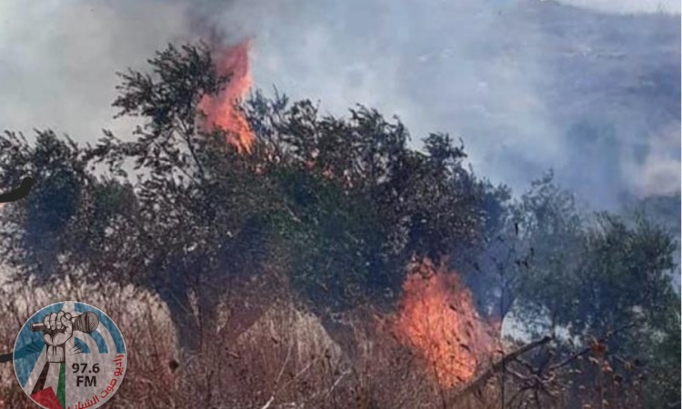 مستوطنون يحرقون بيتا زراعيا وبركسا في الزاوية غرب سلفيت