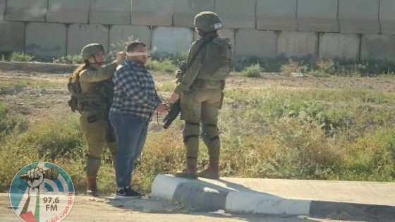 الاحتلال يعتقل 16 مواطنا على الأقل من الضفة