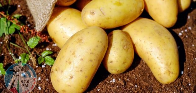 خصائص البطاطس وفوائدها