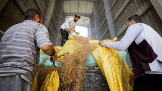 واردات مصر من القمح تسجل قفزة قياسية