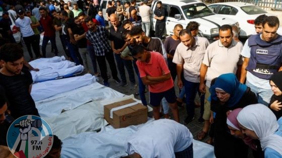 الإحصاء: 24% من شهداء العدوان على غزة من الشباب