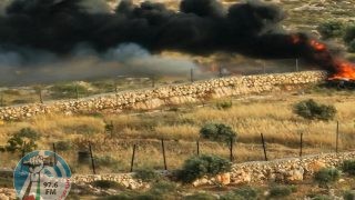 مستوطنون يسيجون طريقا ترابية ويضرمون النار في أراضي خربة يرزا في الأغوار