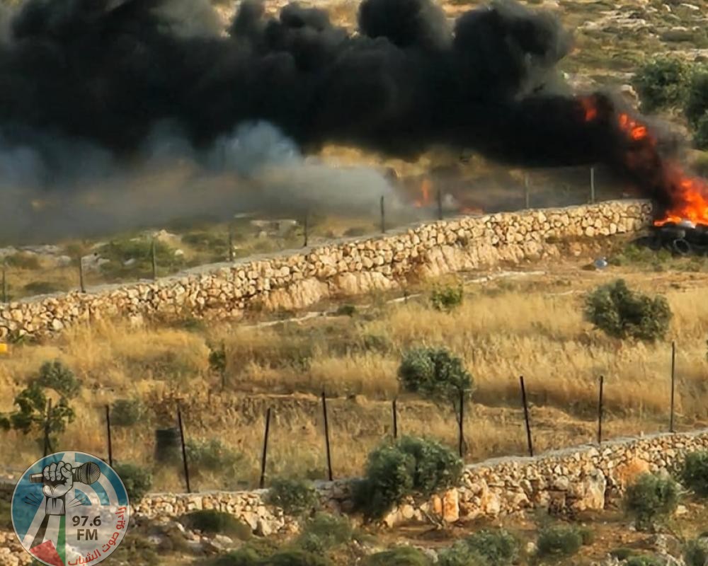 مستوطنون يسيجون طريقا ترابية ويضرمون النار في أراضي خربة يرزا في الأغوار