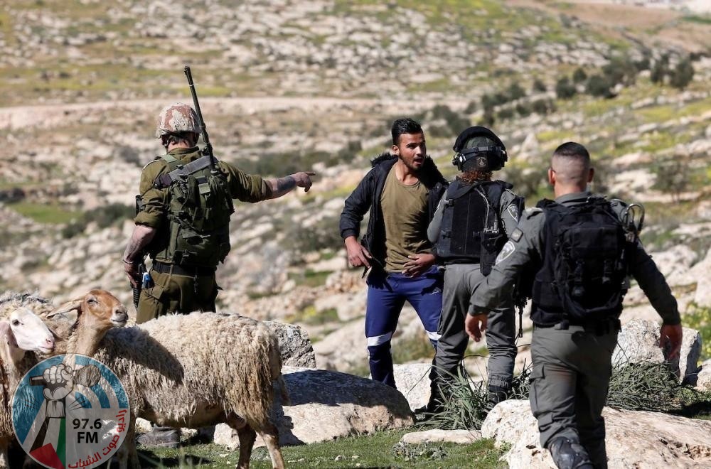 مستوطنون يعتدون على راعي أغنام في مسافر يطا