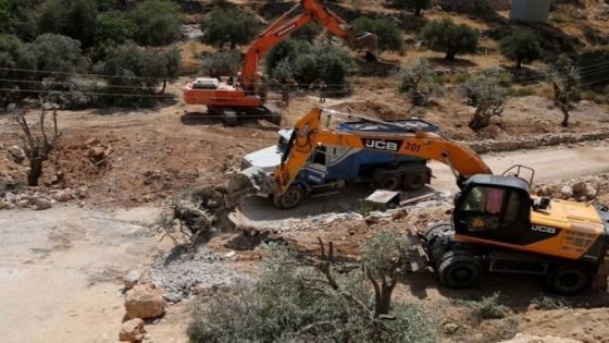 الاحتلال يجرف 20 دونما من أشجار الزيتون غرب جنين