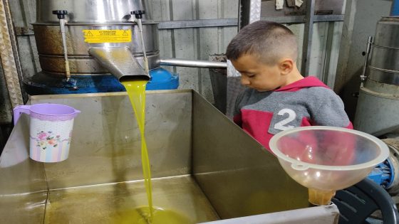 بالأرقام …الزراعة تقدر كميات الزيت المتوقع هذا العام
