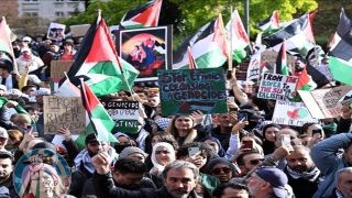 "الاشتراكيون الأميركيون" يؤكدون وقوفهم إلى جانب القضية الفلسطينية