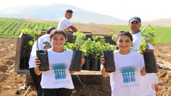 “غراس بحرينية” تزرعها العربية لحماية الطبيعة على 145 دونما في فلسطين