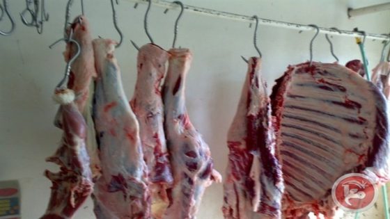 “الاقتصاد”تعلن فتح تقديم طلبات الكوتة.. هل ستنخفض الاسعار؟