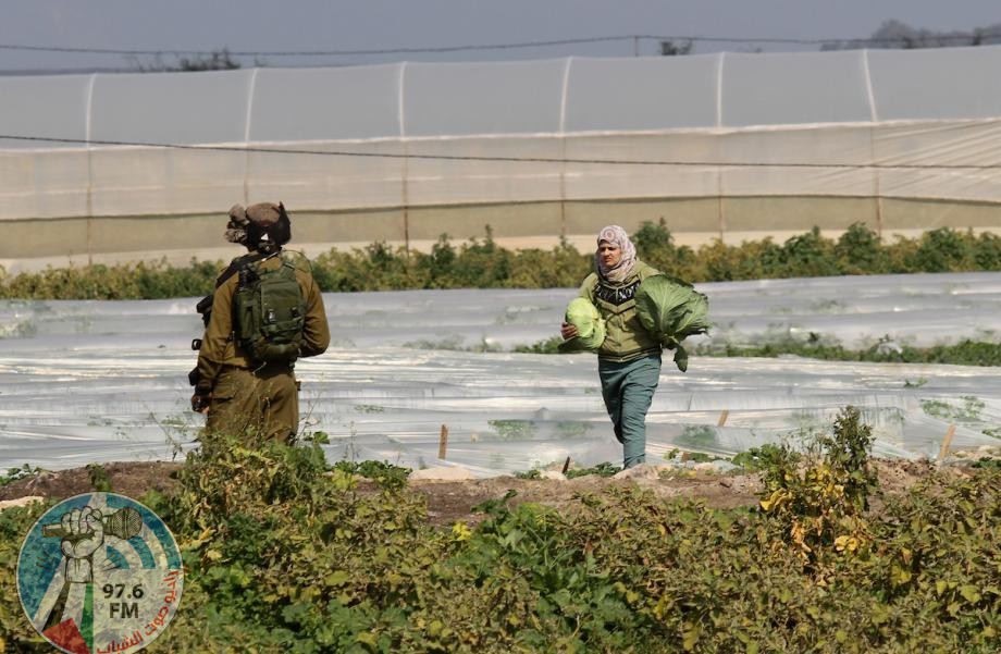 الاحتلال يعتقل مواطنا ويستولي على معدات زراعية في الأغوار الشمالية