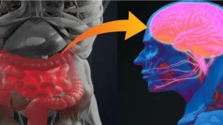 ما تأثير حالة الأمعاء على المزاج ؟