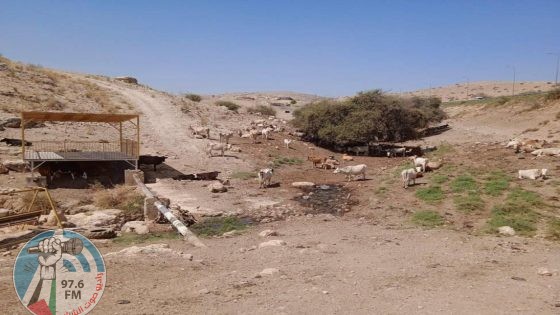الاحتلال يلاحق الرعاة ويرهب المواطنين في منطقة المالح بالأغوار الشمالية