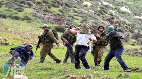 مستعمرون يجبرون قاطفي الزيتون على ترك أراضيهم جنوب نابلس