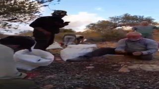 مستوطنون يهاجمون قاطفي الزيتون ويتلفون معداتهم في كفر الديك