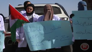 صور- الكوادر الطبية في مستشفيات الخليل تنظم وقفة تضامنية مع زملائهم في غزة