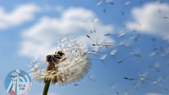 حالة الطقس: أجواء صافية وباردة نسبياً في المناطق الجبلية