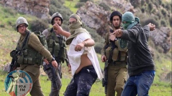 الاحتلال يهاجم قاطفي الزيتون في المغير شرق رام الله ويجبرهم على مغادرة أراضيهم