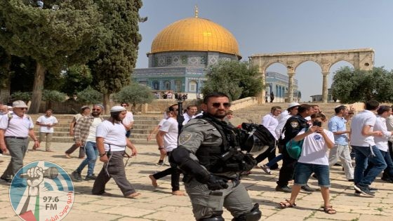مستعمرون يقتحمون الأقصى بحماية شرطة الاحتلال