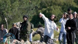 مستعمرون يعتدون على مركبات المواطنين غرب سلفيت