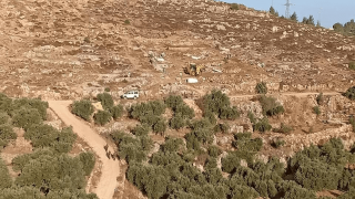 الاحتلال يعتدي على قاطفي الزيتون ويعتقل 6 منهم في حوسان